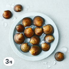산지직송 부산13번 중매인 모시조개 (냉장), 3개, 500g