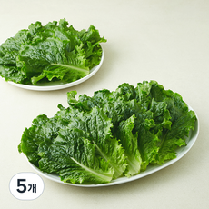 로메인 상추, 5개, 1kg
