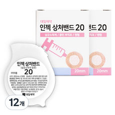 대일제약 인젝 밴드 20, 12개, 100개입
