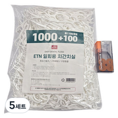 ETN 대용량 초고인장 치간치실 7.5cm 1100p + 푸쉬업 보관케이스 세트, 5세트