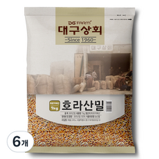 대구상회 호라산밀, 1kg, 6개