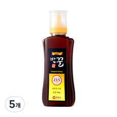 지리산한봉영농조합 국내산 밤꿀, 500g, 5개