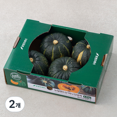 뉴질랜드산 미니단호박, 5입, 2개