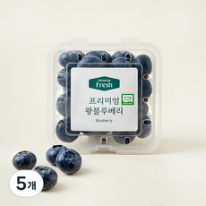 프리미엄 유기농 왕블루베리, 100g, 5개