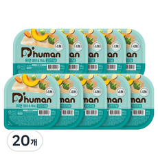 듀먼 전연령 강아지 오리지널 화식사료 용기형 (냉동), 50g, 20개, 명태+채소