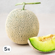 곡성 고당도 맘에쏙 멜론, 1.3kg, 5개