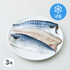 바다찬찬 노르웨이 통통 고등어살 (냉동), 400g, 3개