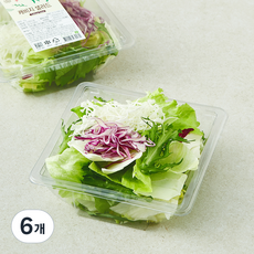 저스트그린 캐비지샐러드, 65g, 6개