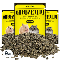 햄찌펫 햄스터 해바라기씨 간식, 500g, 9개