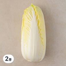 유기농 알배기배추, 400g, 1입, 2봉