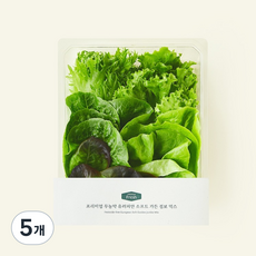 프리미엄 무농약 유러피안 소프트 가든 점보 믹스, 200g, 1개입, 5개