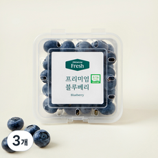 프리미엄 유기농 블루베리 대과, 100g, 3개