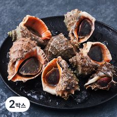 어부심 쫄깃한 자연산 참소라 6~10미 (냉장), 1kg, 2박스