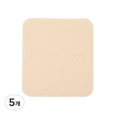 정샘물 마스터클래스 파우더 파운데이션 퍼프 2p, 5개