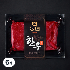 농협 한우 1등급 우둔 육전용 (냉장), 6개, 300g