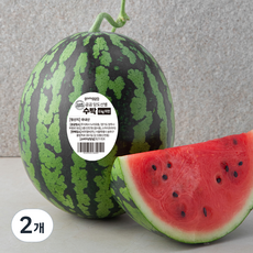 곰곰 당도선별 수박, 5kg 이상, 2개