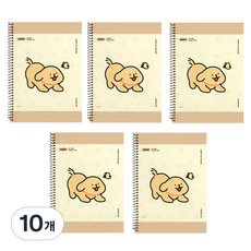 몰티즈 연습장, 리트리버, 10개