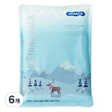 코멕스 아이스탱크 젤팩 2호 470g 160 x 220 mm, 6개