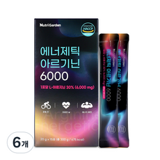 뉴트리가든 에너제틱 아르기닌 6000 15p, 6개, 300g