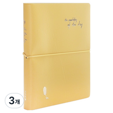 아이씨엘디자인 오브더데이 플래너 다이어리 M, 망고엘로우, 3개