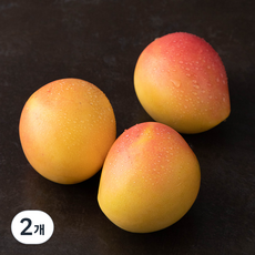 만나다 호주 칼립소 애플망고, 1.1kg(3입), 2개