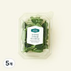 프리미엄 스마트팜 미니 완두순, 5개, 10g