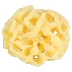 義大利Bellini 天然海棉 地中海海棉, S-10, 1個