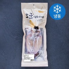 국내산 반건조 오징어 대 10미 (냉동), 1.2kg, 1개