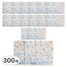 미미파티 감성 귀여운 구디백 손잡이 지퍼백 포장 봉투, 블루데이즈, 300개