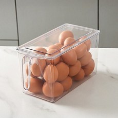 Clair B 附把手冰箱整理收納盒 高級款, 2個, 透明