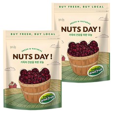 넛츠데이 건크랜베리, 600g, 2개