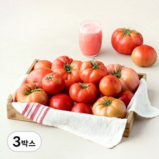 주스용 못난이 토마토, 5kg, 3박스