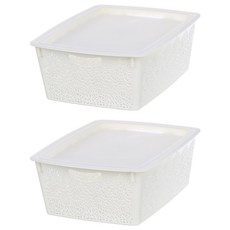 KEYWAY 聯府 每日收納籃 附蓋 10.5L, nbf-202, 2入