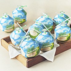 수플린 베트남산 영코코넛, 1개, 9kg(9입)