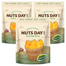넛츠데이 건망고 슬라이스, 600g, 3개
