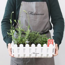모리앤 울타리 화분, 혼합색상, 3개