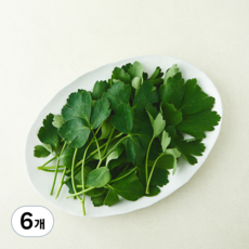 국내산 방풍나물, 300g, 6봉