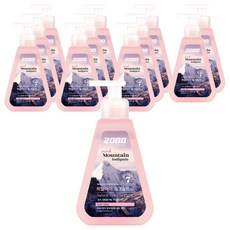 2080 퓨어 핑크마운틴 펌프 치약, 325g, 12개