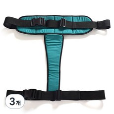 Dr.Pelis J 輪椅安全帶 綠色, 單一商品, 3個