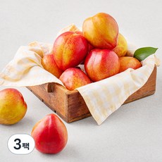 김천앤 내몸에 당도선별 후무사 자두, 3팩, 1kg