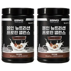 비타민마을 강철부대 올인 뉴트리션 프로틴 밸런스 단백질 보충제, 480g, 2개