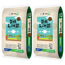 철원농협 2025년 햅쌀 철원오대쌀 백미, 상등급, 10kg, 2개