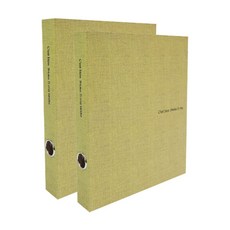 드림산업 쎄비엥 바인더 D링 3공, 연두색, 2개