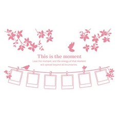 눈부신오늘, 핑크