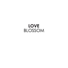 Design Soopul 淋浴窗戶貼膜, love blossom