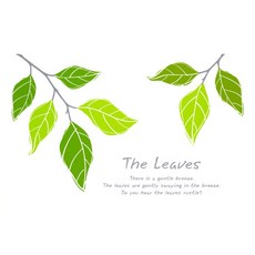 Deco Sarang 圖案壁貼 The Leaves 2, A(灰色+橄欖綠+黃綠色)