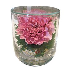 아우트리거정품 유리생화 카네이션, 에스탑-핑크