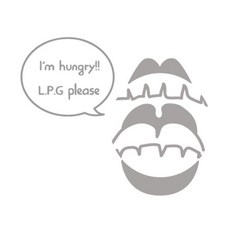 設計樹林 汽車貼紙 LPG SP-G540, 淺灰色, 1個
