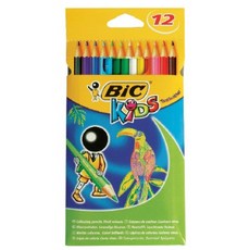 BIC Big Coloring 12色 著色筆 熱帶色, 混色, 5個