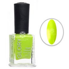 GLORY 野生花卉收藏, I-008 (HUIRI BARAMKKOT), 1個